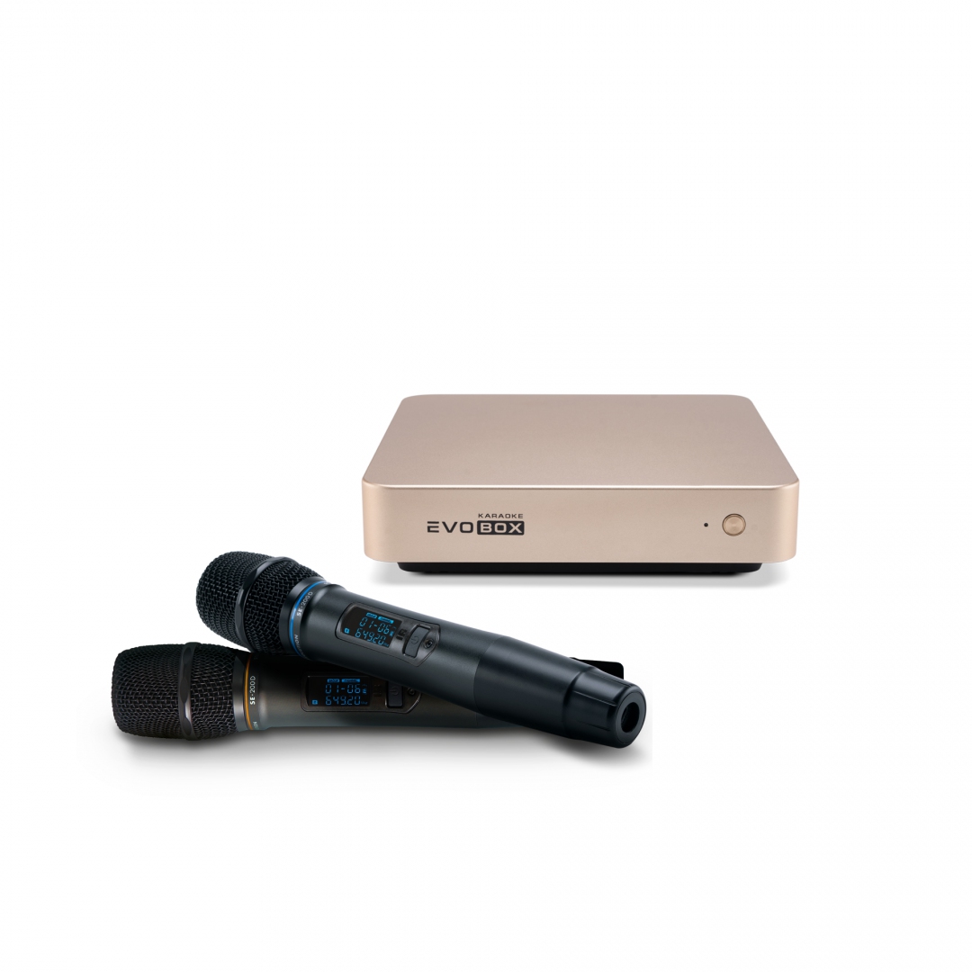 EVOBOX с микрофонами в Северодвинске