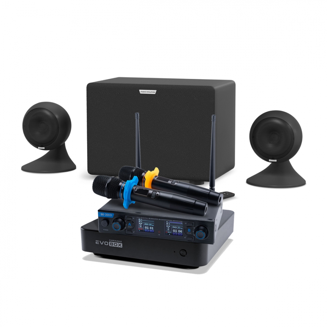 караоке-комплект EVOBOX + EvoSound Sphere 2.1 в Северодвинске