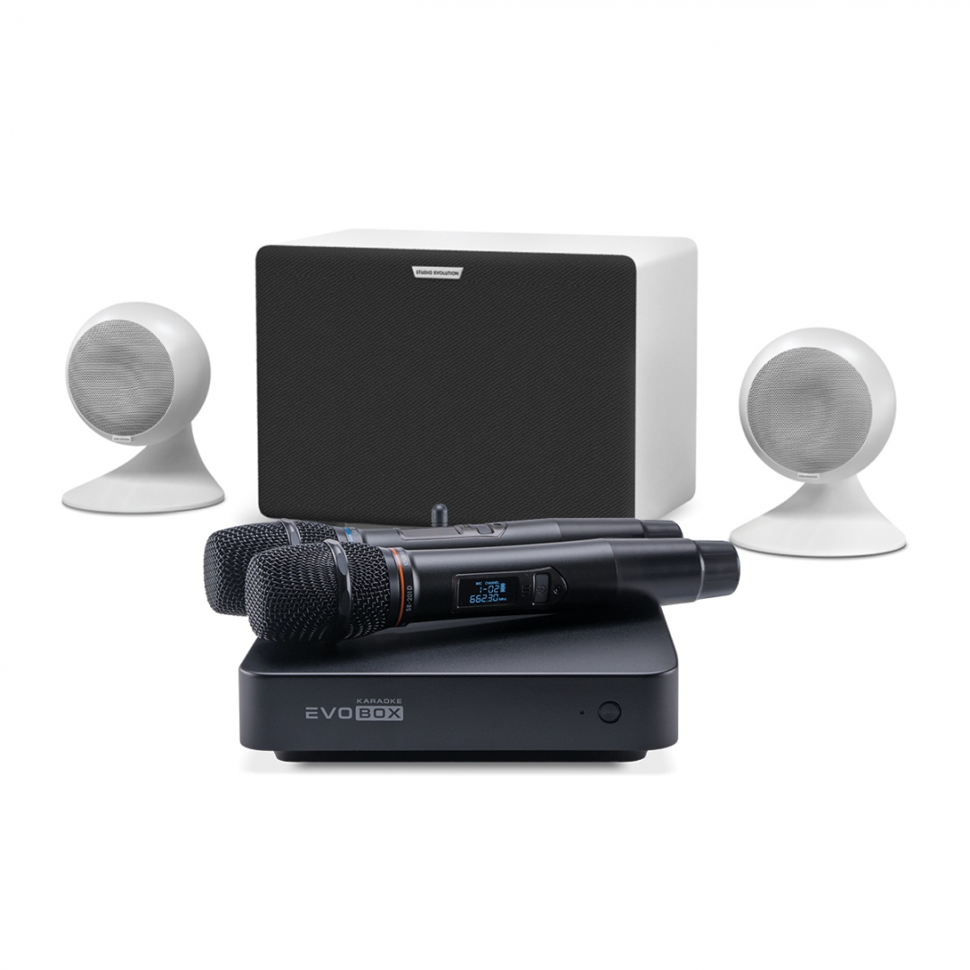 караоке-комплект EVOBOX Classic + EvoSound Sphere 2.1 в Северодвинске