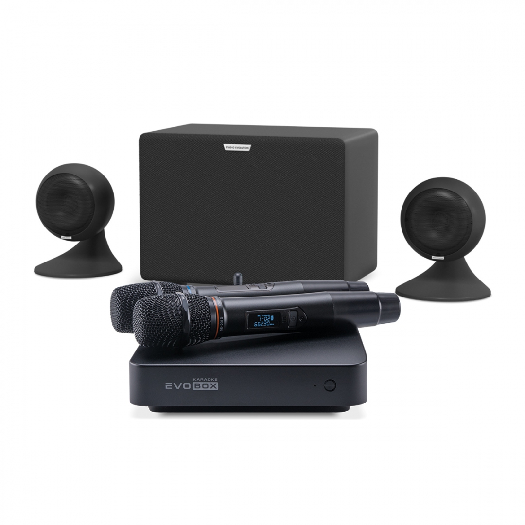 караоке-комплект EVOBOX Plus + EvoSound Sphere 2.1 в Северодвинске