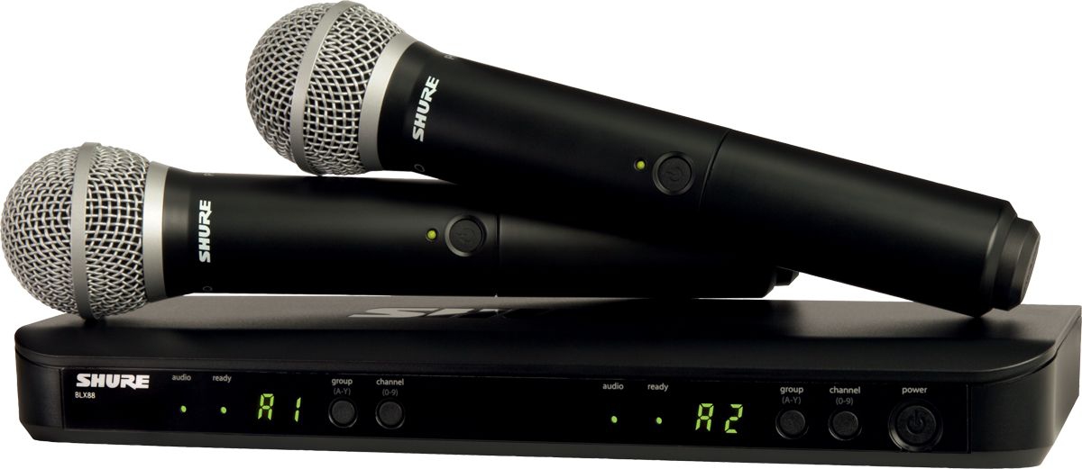 SHURE BLX288E/PG58 M17 вокальная радиосистема в Северодвинске