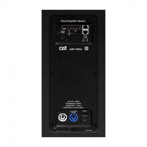Активная акустическая система AST-310A в Северодвинске