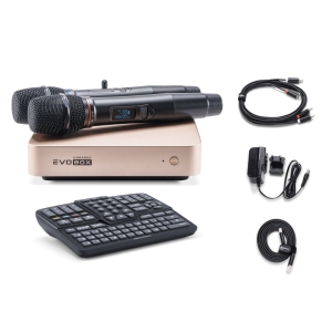 EVOBOX Classic караоке-система для дома в Северодвинске